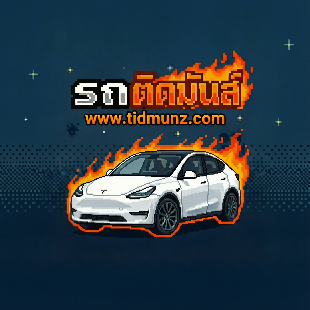 TIDMUNZ Logo